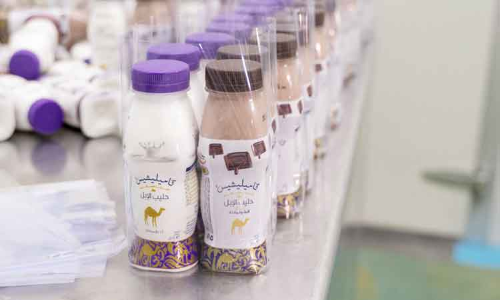 പാലൊഴുക്കി ദുബൈ; പ്രവർത്തിക്കുന്നത് 583 പാൽ ഉൽപാദന കമ്പനികൾ പാലൊഴുക്കി ദുബൈ; പ്രവർത്തിക്കുന്നത് 583 പാൽ ഉൽപാദന കമ്പനികൾ