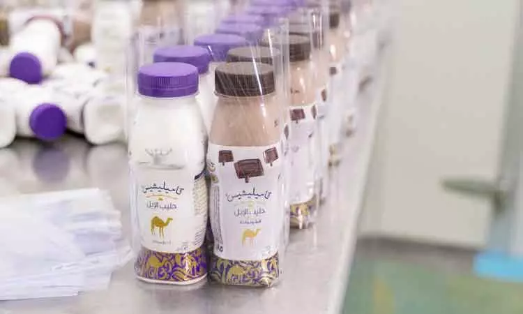 പാലൊഴുക്കി ദുബൈ; പ്രവർത്തിക്കുന്നത് 583 പാൽ ഉൽപാദന കമ്പനികൾ പാലൊഴുക്കി ദുബൈ; പ്രവർത്തിക്കുന്നത് 583 പാൽ ഉൽപാദന കമ്പനികൾ