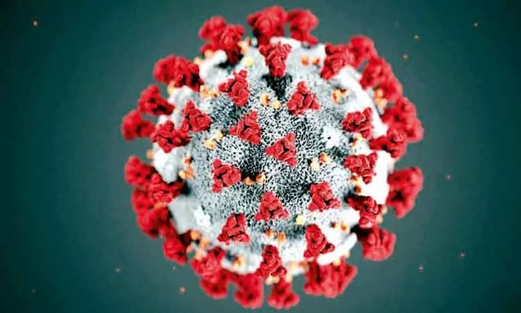 കോ​വി​ഡ്​ പ്ര​തി​രോ​ധം വൈ​റ്റ​മി​ൻ ഗു​ളി​ക​ക​ൾ അ​മി​ത​മാ​യി ക​ഴി​ക്ക​ണ്ട