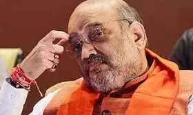 Never called farmers protest politically motivated, says Amit Shah