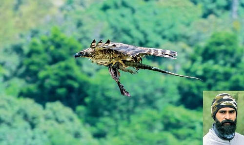 വ​ന്യ​ജീ​വി ഫോ​ട്ടോ​ഗ്ര​ഫി മ​ത്സ​രം: ഒ​ന്നാം സ്ഥാ​നം ടി.​എ​ൻ. പു​രം സ്വ​ദേ​ശി​ക്ക്