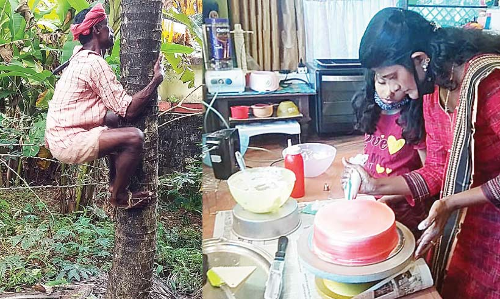 തെ​ങ്ങി​ൽ​ക്ക​യ​റും കേ​ക്കു​ണ്ടാ​ക്കും... കോ​ന്നി​യി​ലെ സ്​​ഥാ​നാ​ർ​ഥി​ക​ൾ വ്യ​ത്യ​സ്ത​രാ​ണ്