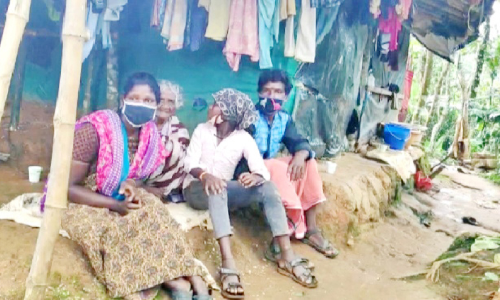 വി​ത്തു​കാ​ട് നി​വാ​സി​ക​ളു​ടെ വോ​ട്ട് ബ​ഹി​ഷ്ക​ര​ണം; അ​നു​ന​യ നീ​ക്ക​വു​മാ​യി മു​ന്ന​ണി​ക​ൾ