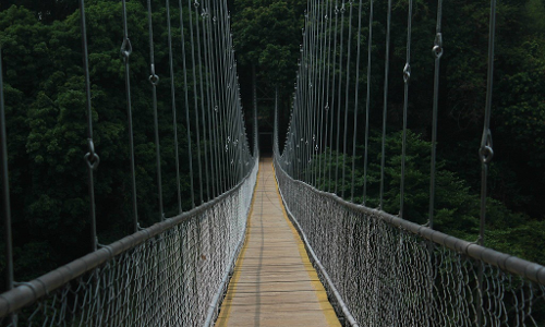 കാടിൻെറ വന്യതയിലേക്ക്​ സ്വാഗതം; നെടുങ്കയം ഇക്കോ ടൂറിസം കേന്ദ്രം തുറന്നു