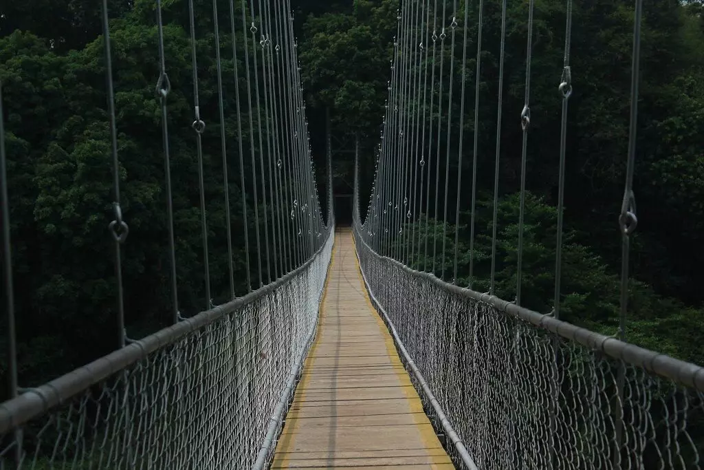 കാടിൻെറ വന്യതയിലേക്ക്​ സ്വാഗതം; നെടുങ്കയം ഇക്കോ ടൂറിസം കേന്ദ്രം തുറന്നു