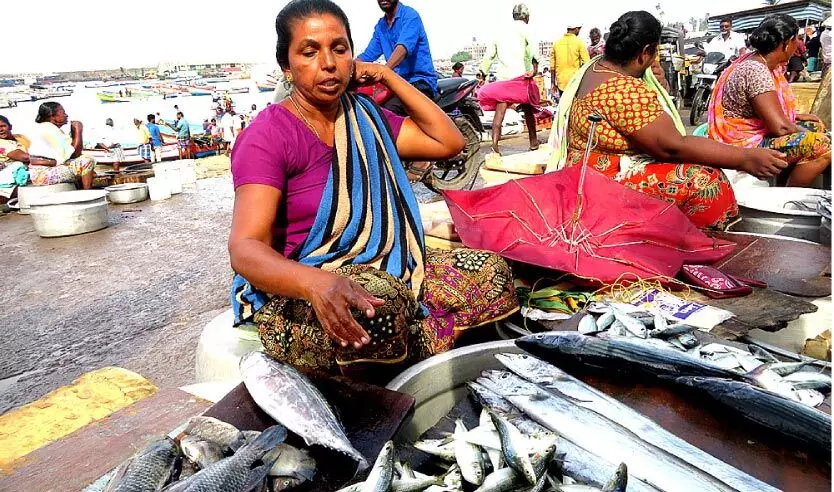 മത്സ്യവരവ് തുടങ്ങിയിട്ടും വരുമാനമില്ലാതെ മത്സ്യത്തൊഴിലാളികള്‍
