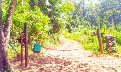 വെള്ളൂര്‍–ചെറുപുഴ–ബാഗമണ്ഡല പാതക്ക്​ വഴിതെളിയുന്നു