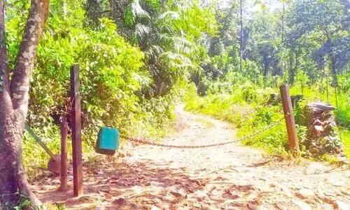 വെള്ളൂര്‍–ചെറുപുഴ–ബാഗമണ്ഡല പാതക്ക്​ വഴിതെളിയുന്നു