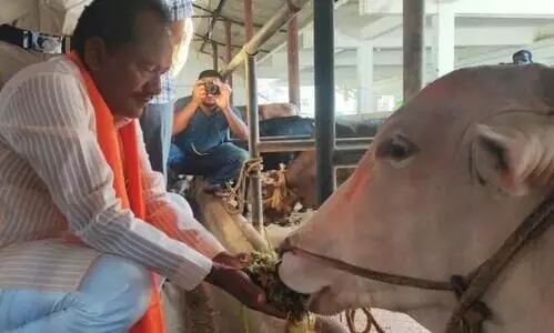 ഗോവധ നിരോധനത്തെക്കുറിച്ച്​ പഠിക്കാൻ കർണാടക മന്ത്രി ഗുജറാത്തും യു.പിയും സന്ദർശിക്കും
