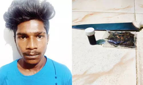 കഞ്ചാവ്, ഹാഷിഷ് ഓയിൽ വിൽപനസംഘത്തിലെ യുവാവ് പിടിയിൽ