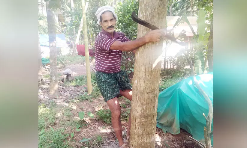 തെങ്ങുകളും വോട്ടർമാരും രമേശന്​ സുപരിചിതം