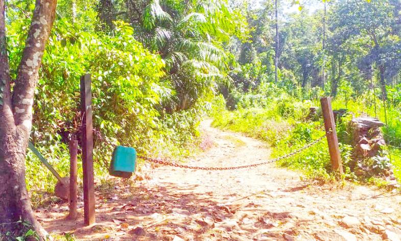 വെള്ളൂര്–ചെറുപുഴ–ബാഗമണ്ഡല പാതക്ക് വഴിതെളിയുന്നു വെള്ളൂര്–ചെറുപുഴ–ബാഗമണ്ഡല പാതക്ക് വഴിതെളിയുന്നു