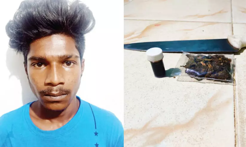 കഞ്ചാവ്, ഹാഷിഷ് ഓയിൽ വിൽപനസംഘത്തിലെ യുവാവ് പിടിയിൽ