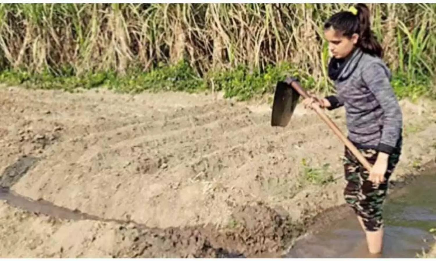 ആണുങ്ങളെല്ലാം സമരമുഖത്ത്​ ; കാർഷികവൃത്തി ഏറ്റെടുത്ത്​ യു.പിയിലെ സ്​ത്രീകൾ