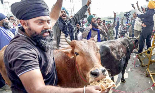 വീ​റോ​ടെ ക​ർ​ഷ​ക​ർ; സ​ർ​ക്കാ​റി​ന്​ അ​ന്ത്യ​ശാ​സ​നം