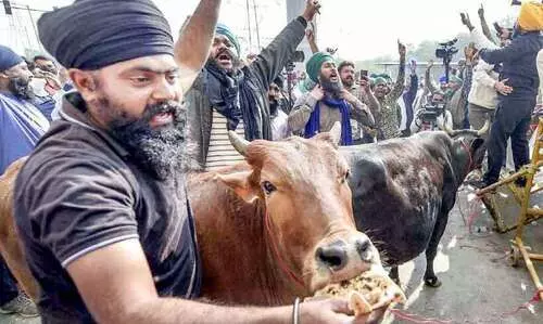 വീ​റോ​ടെ ക​ർ​ഷ​ക​ർ; സ​ർ​ക്കാ​റി​ന്​ അ​ന്ത്യ​ശാ​സ​നം