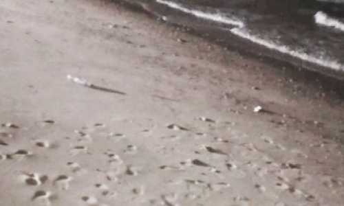 പ്ര​വ​ച​നം​പോ​ലെ രാ​ജ്യ​വ്യാ​പ​ക​മാ​യി മ​ഴ