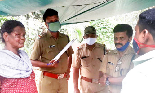 മയിലും പന്നിയും ഇപ്പോൾ ചെന്നായയും; പ്രകൃതിയുടെ മുറിവേറ്റ്​ കർഷകർ