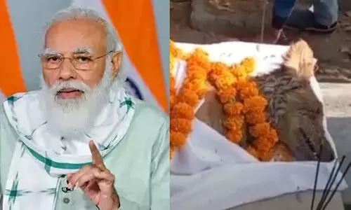 പ്രധാനമന്ത്രി മൻ കി ബാതിൽ പരാമർശിച്ച നായ്​ ചത്തു; ഔദ്യോഗിക ബഹുമതികളോടെ കുഴിച്ചുമൂടി
