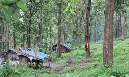 കുടിയൊഴിപ്പിക്കപ്പെട്ട ആദിവാസികൾക്ക്​ നൽകിയ ഭൂമി കൈയടക്കിയവർക്കെതിരെ നടപടി എടുക്കണമെന്ന്​ ഹൈകോടതി