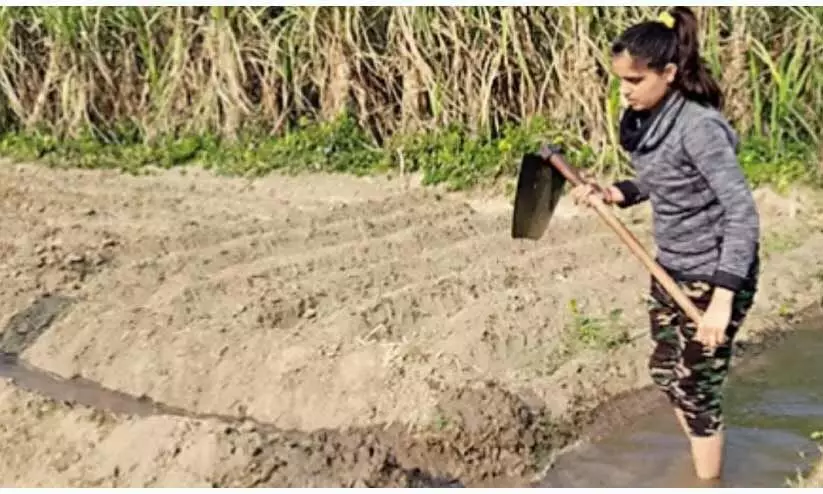 ആണുങ്ങളെല്ലാം സമരമുഖത്ത്​ ; കാർഷികവൃത്തി ഏറ്റെടുത്ത്​ യു.പിയിലെ സ്​ത്രീകൾ