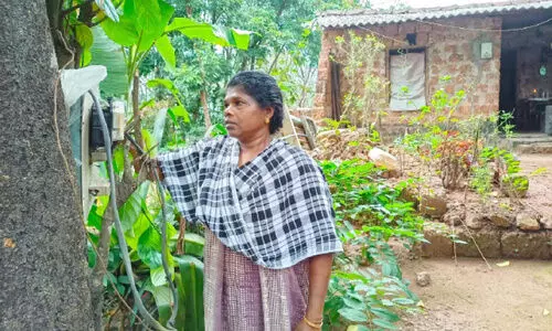 പ്ലാവിൽ തൂക്കിയിട്ട വൈദ്യുതി മീറ്ററിന് വാടക നൽകണം; മണ്ണെണ്ണ വിളക്കി​െൻറ ചുവട്ടിൽ ശകുന്തളയുടെ ജീവിതം