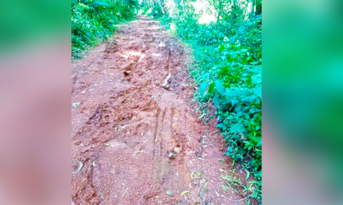 ദേലംപാടിക്കാർ പറഞ്ഞുമടുത്തു; ഞങ്ങളും കേരളത്തിലാണ്​; ഇത്തവണ വോട്ടു ചെയ്യുന്നില്ല