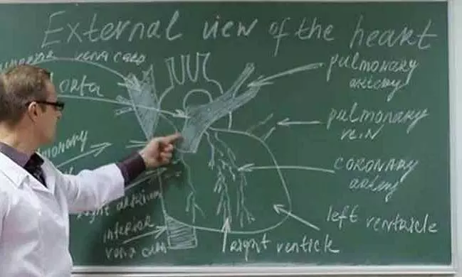 ദേവസ്വം ബോർഡ് കോളജുകളിൽ 33 അസി. പ്രഫസർ ഒഴിവുകൾ ദേവസ്വം ബോർഡ് കോളജുകളിൽ 33 അസി. പ്രഫസർ ഒഴിവുകൾ