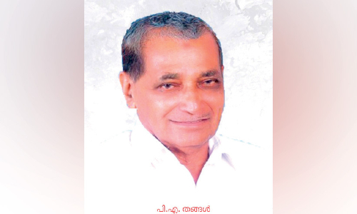 മെ​ഗാ​ഫോ​ണു​കൊ​ണ്ട് വോ​ട്ട​ഭ്യ​ർ​ഥി​ച്ച കാ​ലം