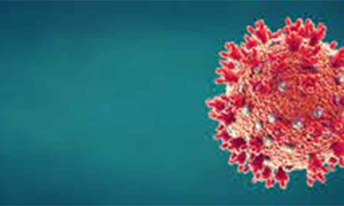 കോ​വി​ഡ്​:  343 പു​തി​യ കേ​സു​ക​ൾ; 474 രോ​ഗ​മു​ക്തി