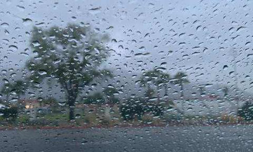 മഴ സാഹിത്യഅക്കാദമിയോടു ചെയ്തത്