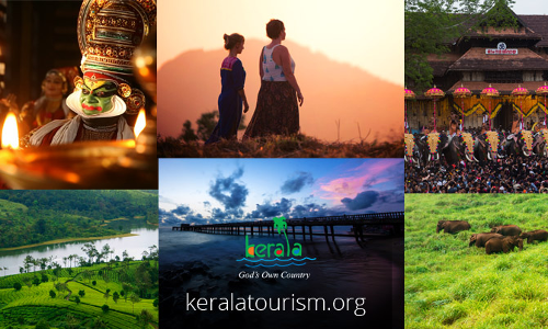 ടൂറിസം വകുപ്പി​െൻറ മിയാവാക്കി വനവത്​കരണ പദ്ധതിയിൽ ക്രമക്കേടെന്ന്​ ആക്ഷേപം