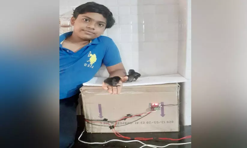 സ്വയം നിർമിച്ച ഇൻകുബേറ്ററിൽ മുട്ട വിരിയിച്ച് ഏഴാംക്ലാസുകാരൻ