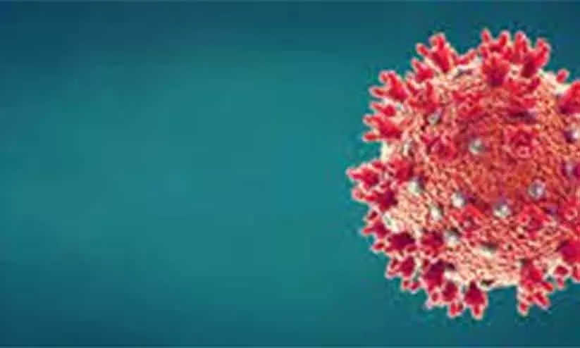 കോ​വി​ഡ്​:  343 പു​തി​യ കേ​സു​ക​ൾ; 474 രോ​ഗ​മു​ക്തി