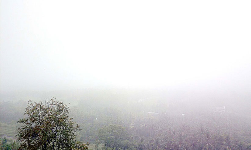 മറയൂരില്‍ മഴയും കോടമഞ്ഞും; കാര്‍ഷിക മേഖല സ്​തംഭിച്ചു