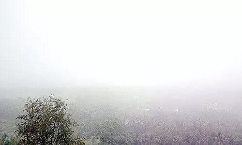 മറയൂരില്‍ മഴയും കോടമഞ്ഞും; കാര്‍ഷിക മേഖല സ്​തംഭിച്ചു