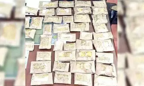 മുക്കുപണ്ടം പണയതട്ടിപ്പ്​; ഒമ്പതിടങ്ങളിൽ പരിശോധന, മു​ഖ്യ​പ്ര​തി​യെ ക​സ്​​റ്റ​ഡി​യി​ൽ വാ​ങ്ങും