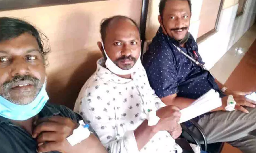 തൃക്കാക്കര നഗരസഭ ഓഫിസിൽ ജീവനക്കാരെ നായ് കടിച്ചു തൃക്കാക്കര നഗരസഭ ഓഫിസിൽ ജീവനക്കാരെ നായ് കടിച്ചു