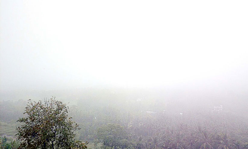 മറയൂരില് മഴയും കോടമഞ്ഞും; കാര്ഷിക മേഖല സ്തംഭിച്ചു മറയൂരില് മഴയും കോടമഞ്ഞും; കാര്ഷിക മേഖല സ്തംഭിച്ചു