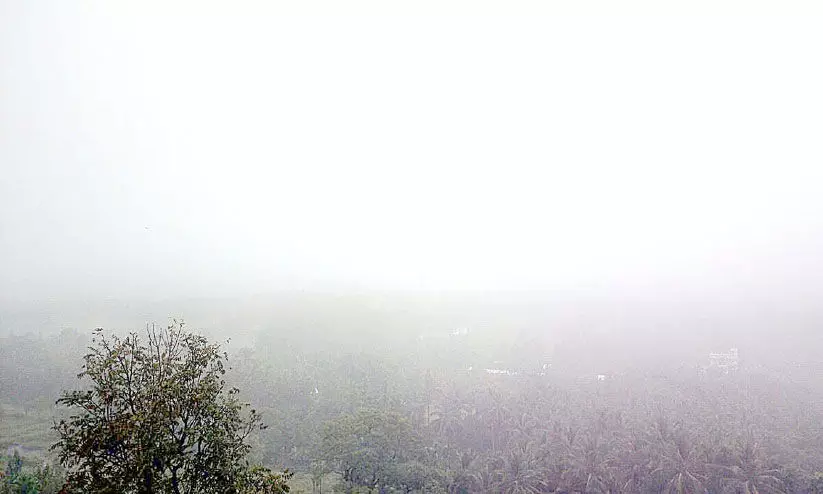 മറയൂരില്‍ മഴയും കോടമഞ്ഞും; കാര്‍ഷിക മേഖല സ്​തംഭിച്ചു