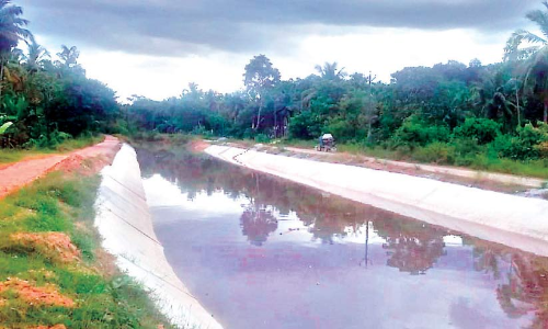 കാ​ഞ്ഞി​ര​പ്പു​ഴ ഇ​ട​തു​ക​ര ക​നാ​ലി​ൽ ജ​ല​വി​ത​ര​ണം തു​ട​ങ്ങി