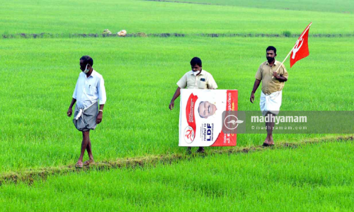 വിപ്ലവപ്പച്ച...