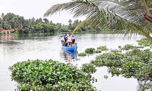പാലം വന്നില്ലെങ്കിലും കായൽ കടന്ന്​ കാക്കത്തുരുത്തുകാർ വോട്ട്​ ചെയ്യും