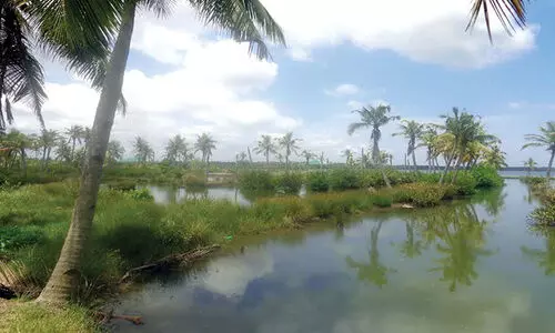 അഞ്ചുതുരുത്തിൽ വോട്ട്​ ചെയ്യാൻ ദുരിതക്കയം താണ്ടണം