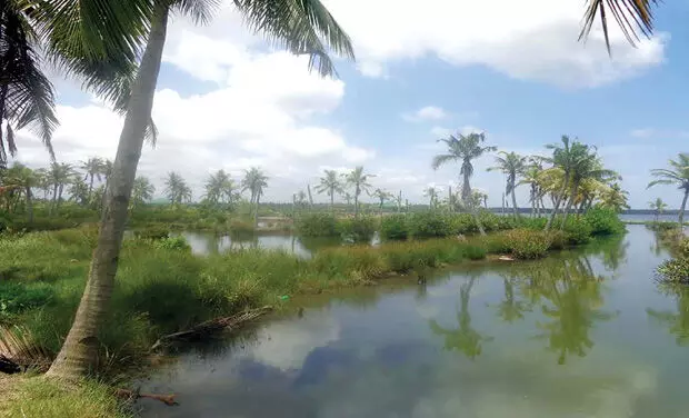 അഞ്ചുതുരുത്തിൽ വോട്ട്​ ചെയ്യാൻ ദുരിതക്കയം താണ്ടണം