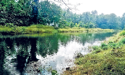 നീ​രൊ​ഴു​ക്ക് ത​ട​സ്സ​പ്പെ​ട്ട്​ കാ​ഞ്ഞി​ര​പ്പു​ഴ ക​നാ​ൽ