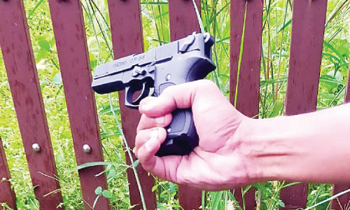 ഏഴര കിലോ കഞ്ചാവും പിസ്​റ്റളും പിടികൂടി