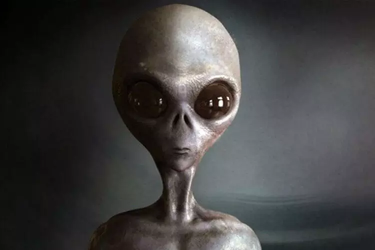 അന്യഗ്രഹജീവികൾക്ക് അമേരിക്കയുമായി കരാർ; ട്രംപിന് ഇക്കാര്യമറിയാമെന്ന് മുൻ ഇസ്രായേൽ ബഹിരാകാശ സുരക്ഷാ മേധാവി അന്യഗ്രഹജീവികൾക്ക് അമേരിക്കയുമായി കരാർ; ട്രംപിന് ഇക്കാര്യമറിയാമെന്ന് മുൻ ഇസ്രായേൽ ബഹിരാകാശ സുരക്ഷാ മേധാവി