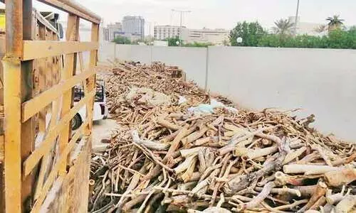 വിറകുവിൽപനക്കിടെ ഇന്ത്യക്കാരടക്കം 69 പേർ പിടിയിൽ; 20 ലക്ഷം രൂപ വരെ പിഴ ലഭിക്കാവുന്ന കുറ്റം