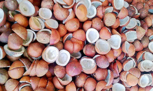 ഓ​ർ​മ​യാ​യി ചേ​ർ​ത്ത​ല​യി​ലെ കൊ​പ്ര​വ്യ​വ​സാ​യം